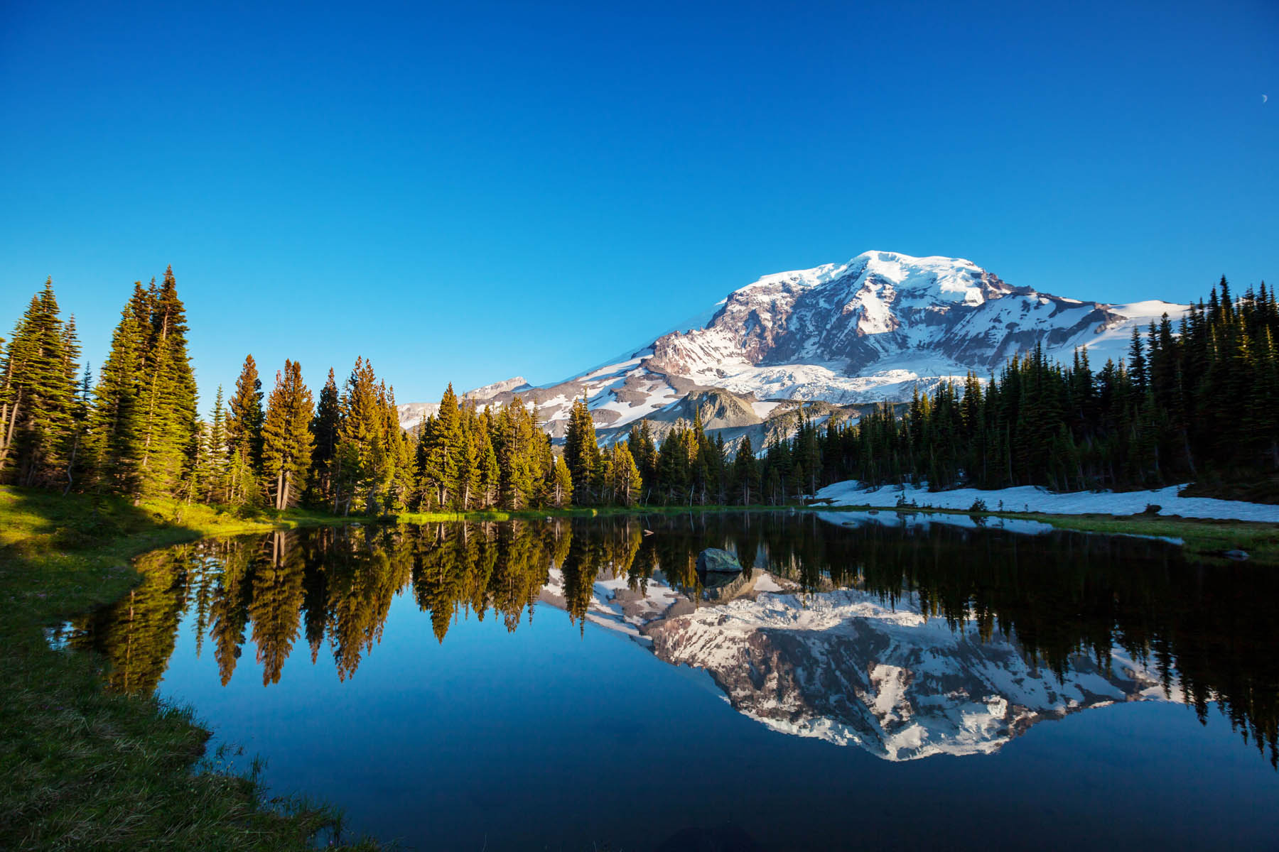 Mount Rainier national park, Washington